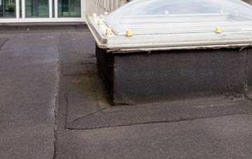 disadvantages of Shop flat roofs